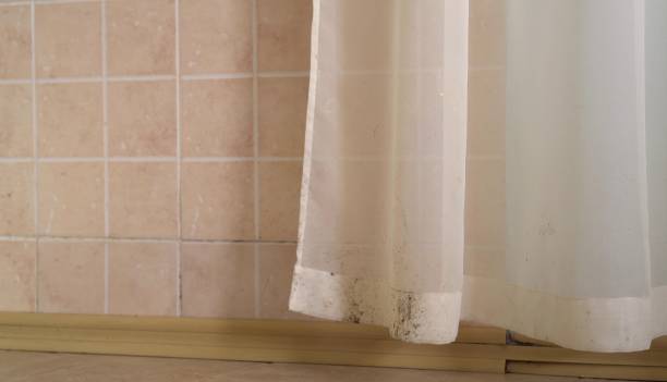 Best Mold Prevention Services  in Daniels Farm, CT