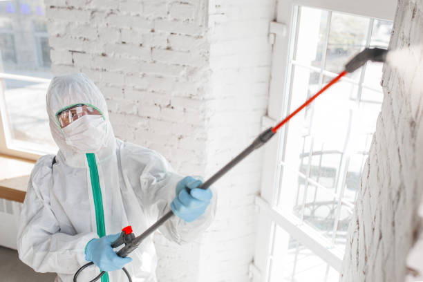 Best Real Estate Mold Inspection  in Daniels Farm, CT